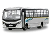 City Buses